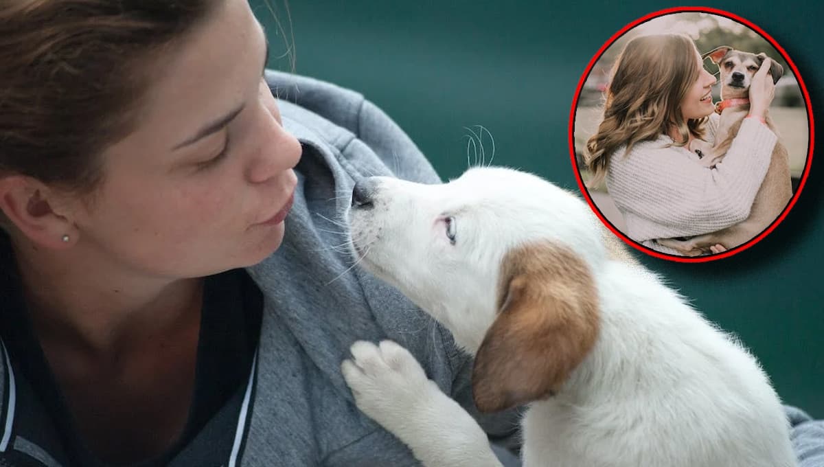 ¿Cómo le digo a mi perro que lo quiero?