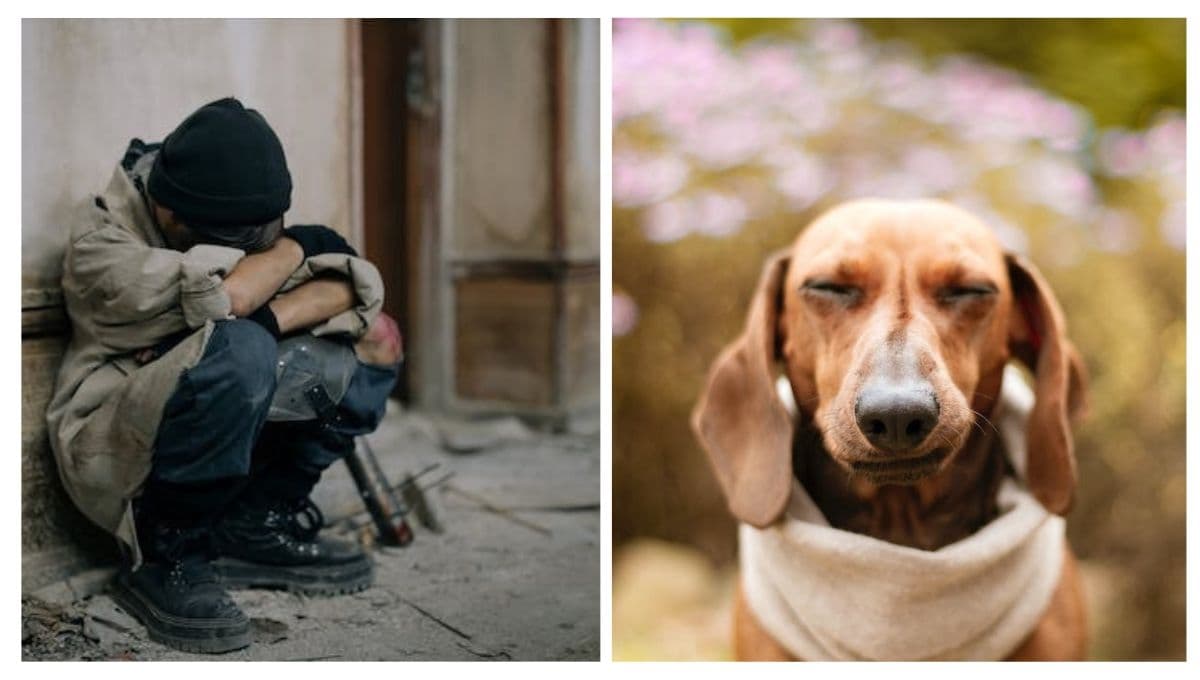 ¿Que decirle a una persona que perdió a su mascota?