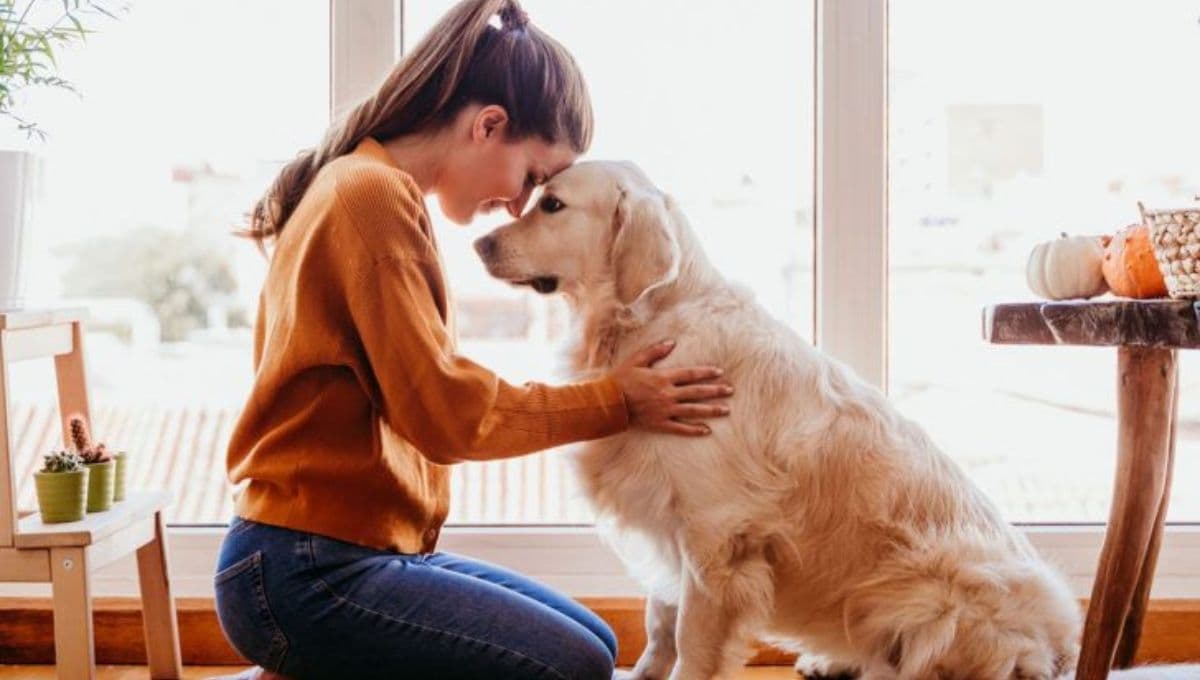 7 señales de un perro sano y feliz de vivir contigo en casa