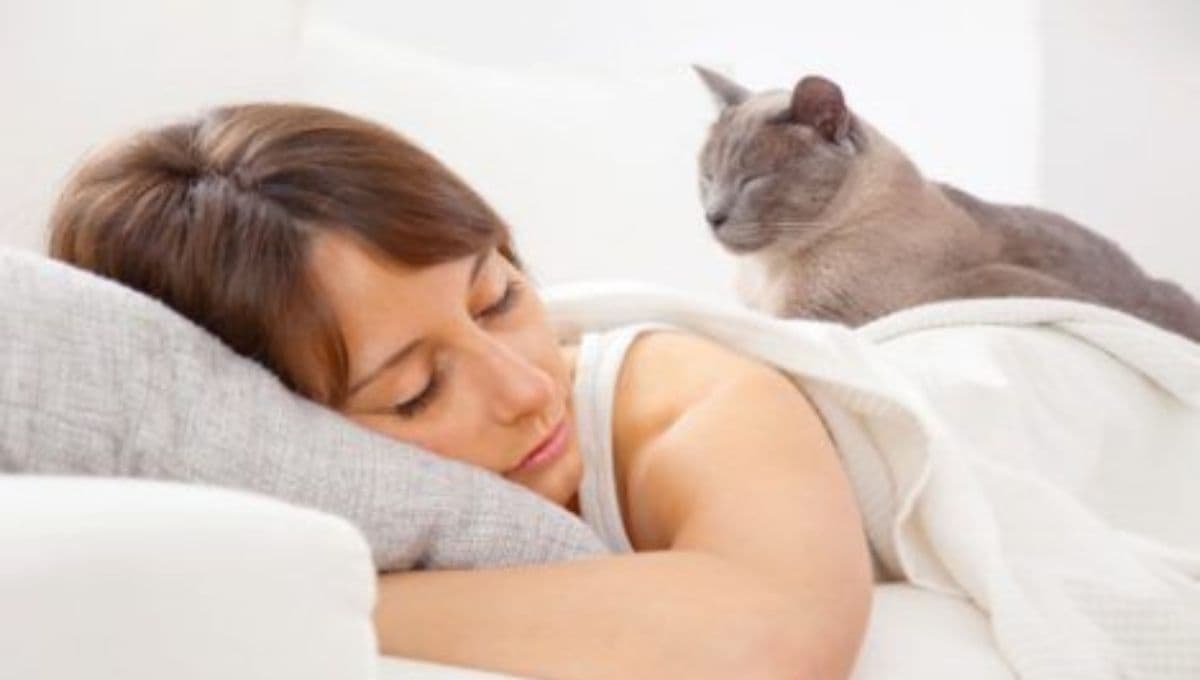 ¿Por qué mi gato SIEMPRE me despierta en las mañanas?