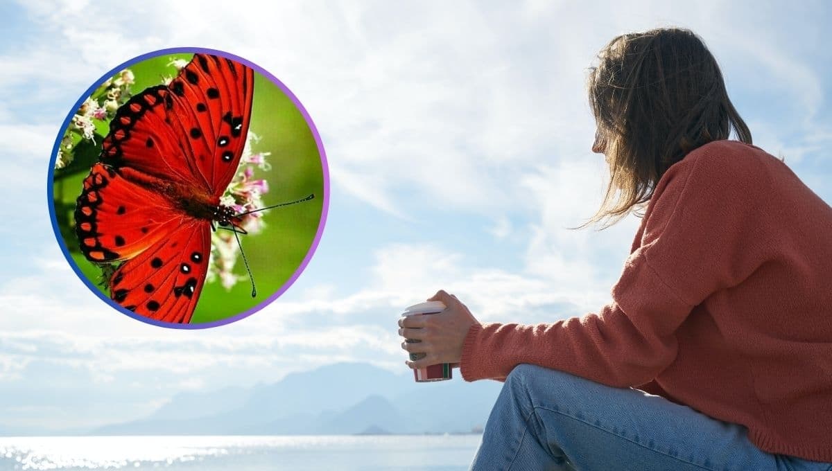 ¿Qué significa la aparición de una mariposa ROJA en tu vida?