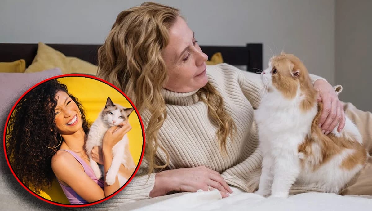 ¿Cuánto tiempo se acuerda un gato de ti?