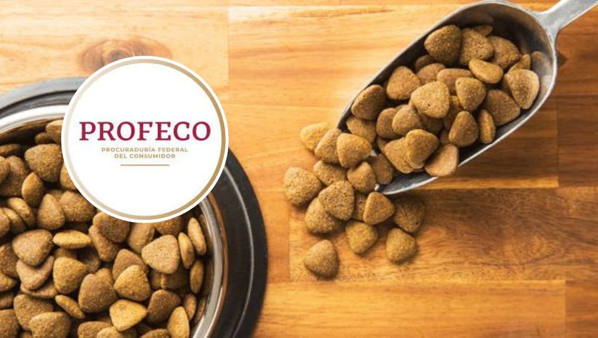 ¿Qué tan bueno es el Pedigree? ESTO reveló la Profeco