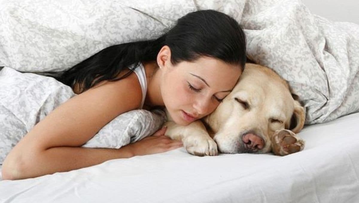 ¿Qué significa que tu perro siempre quiere dormir contigo?