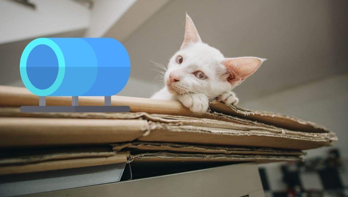 ¿Cómo hacer un túnel para gatos casero y fácil? | Paso a paso