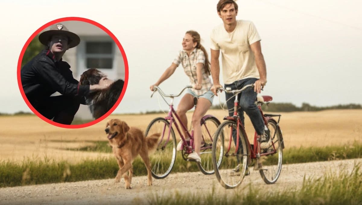 3 películas de perros más TRISTES de todo el catálogo de Netflix