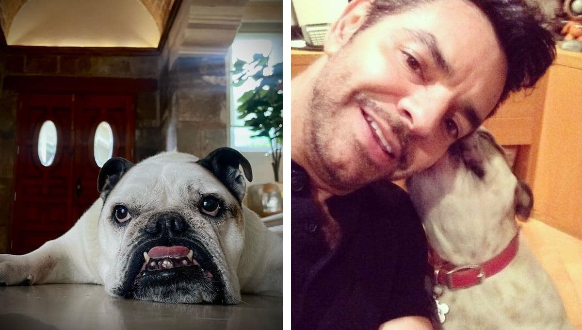 Eugenio Derbez se despide DESTROZADO de Fiona, su perrita bulldog