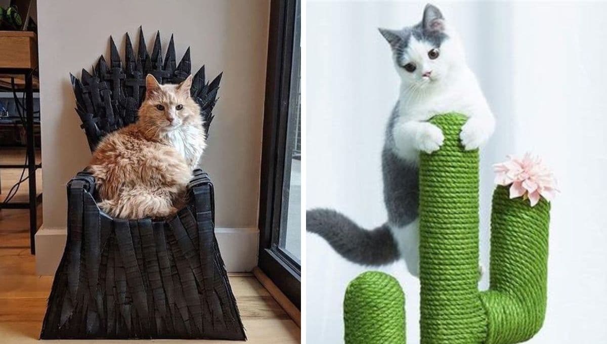 7 BENEFICIOS que aporta un gato para la salud mental