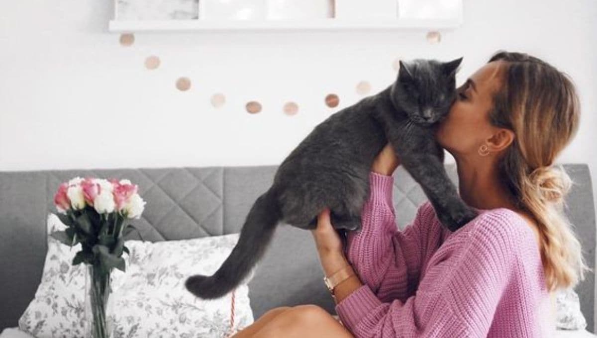 7 claves para ganarse el corazoncito de un gato