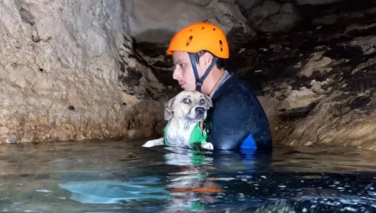 Rescatan a la perrita Shakira tras cuatro días ABANDONADA en una cueva