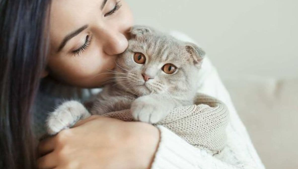 ¿Cómo afecta a un gato el cambio de dueño?