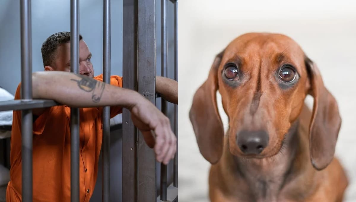 Él estaba en prisión, pero cuando se enteró que su perro sería sacrificado, hizo una extraordinaria petición