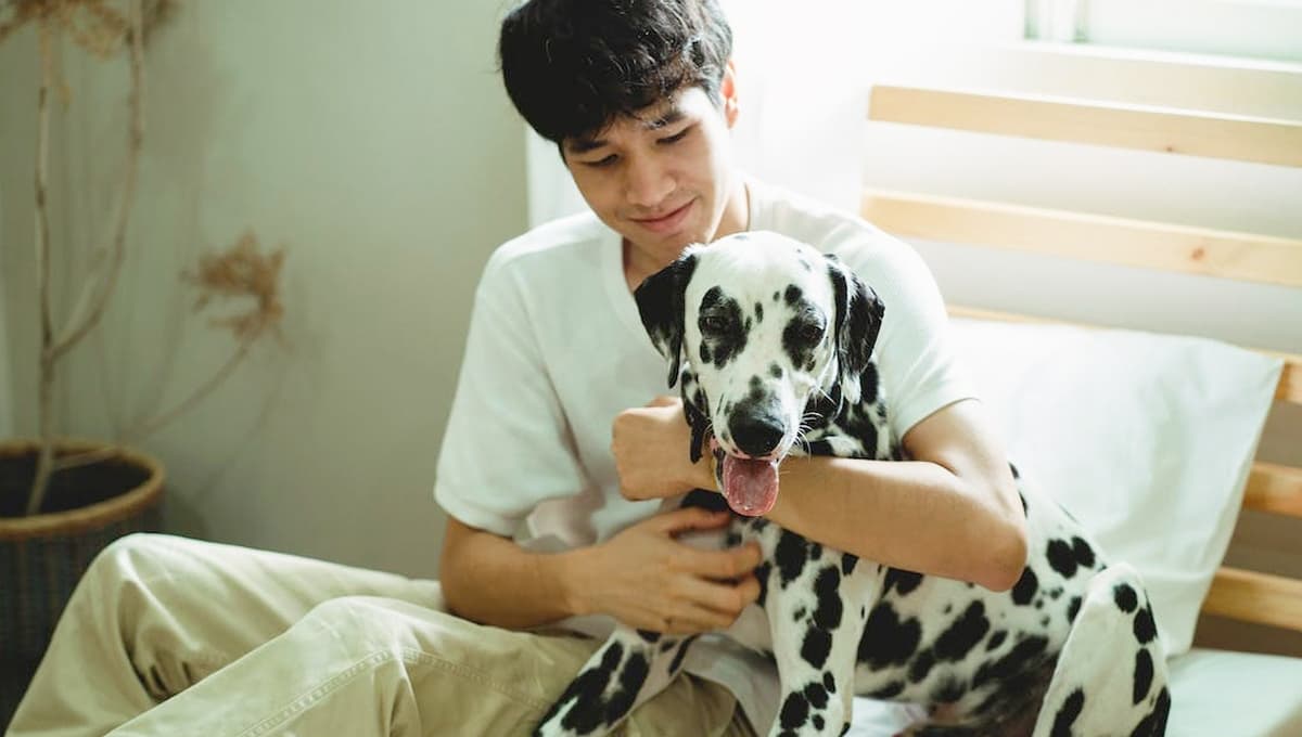 ¿Por qué los perros se parecen a sus dueños?