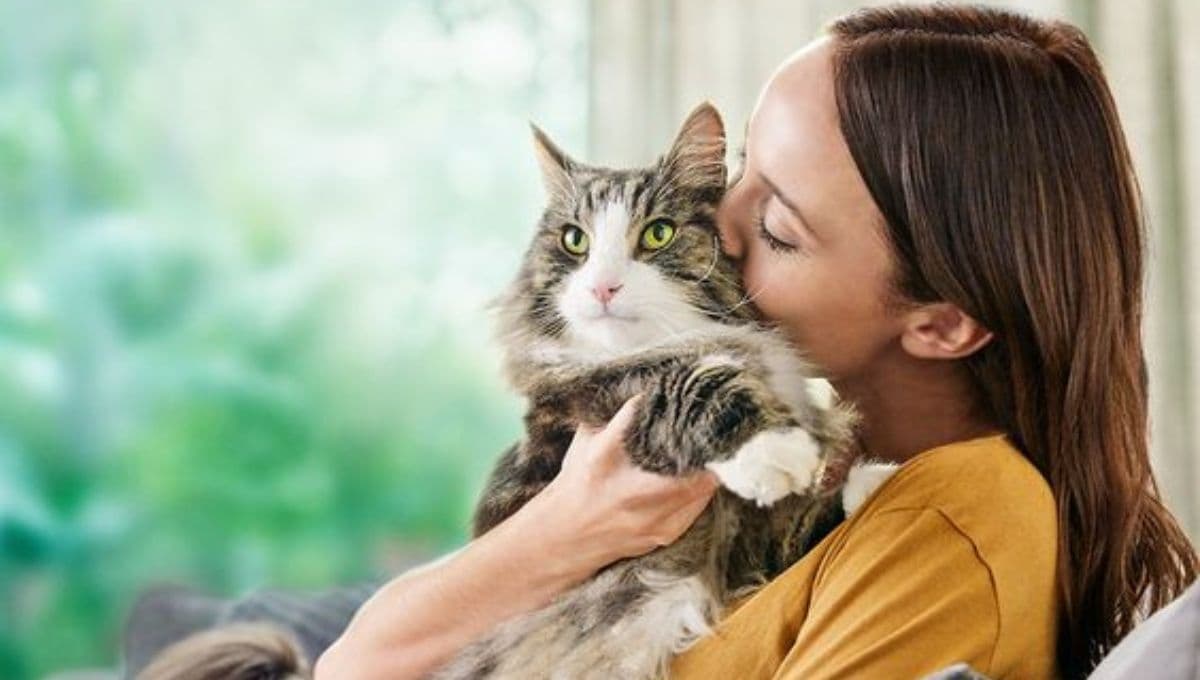 ¿Cómo saber si mi gato tiene apego emocional?