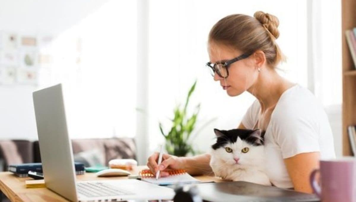 6 características de los gatos con HIPERAPEGO para saber si tienes uno