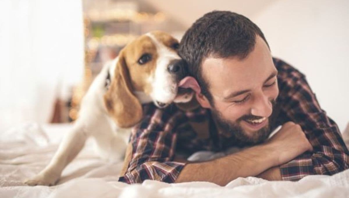 7 nombres de piedras preciosas para perros con significado de protección
