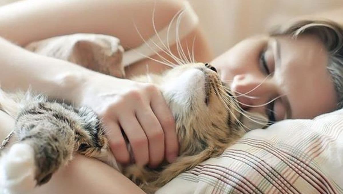 ¿Cómo los gatos eligen con quién dormir?