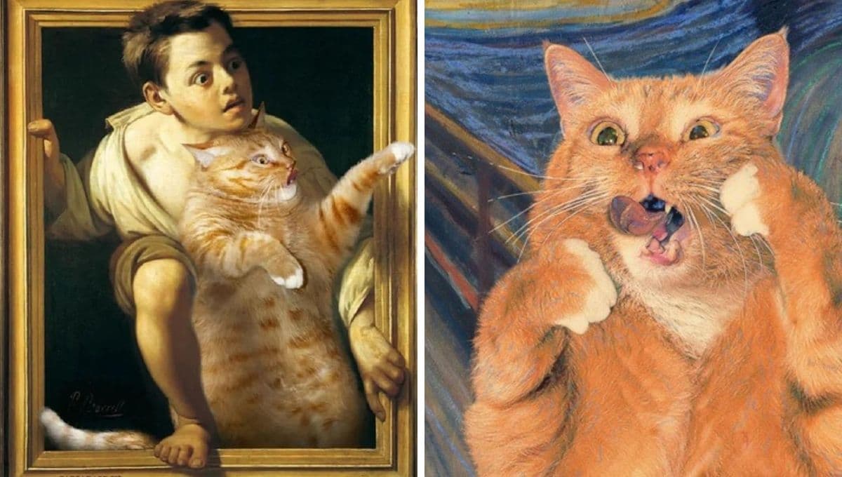 5 gatos famosos de internet que alegrarán tu día