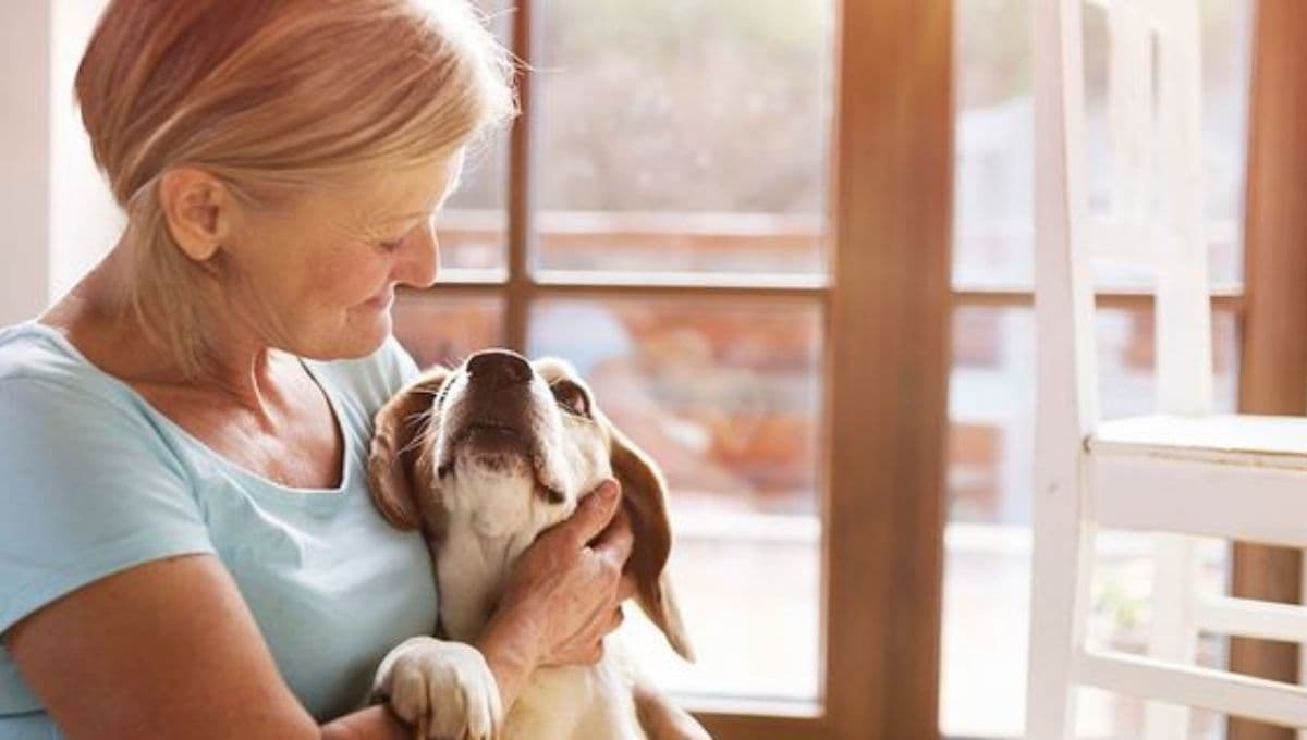 5 beneficios espirituales de tener un perro como mascota