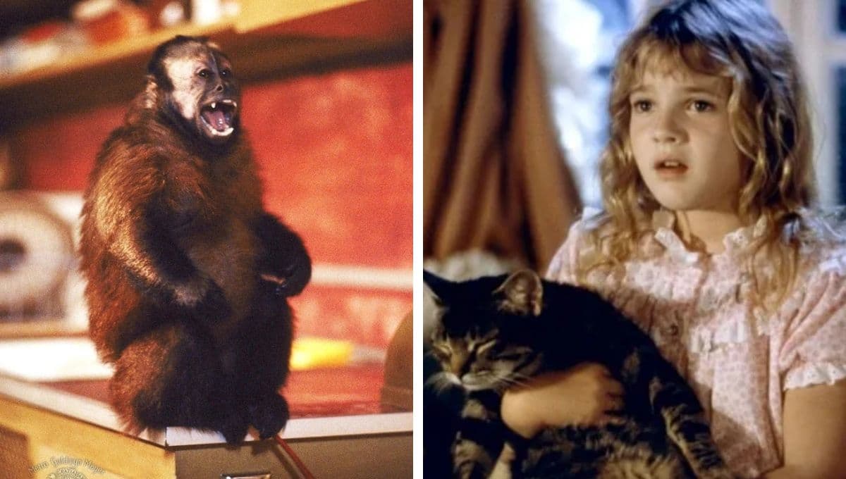 5 mejores películas de terror de animales y dónde verlas