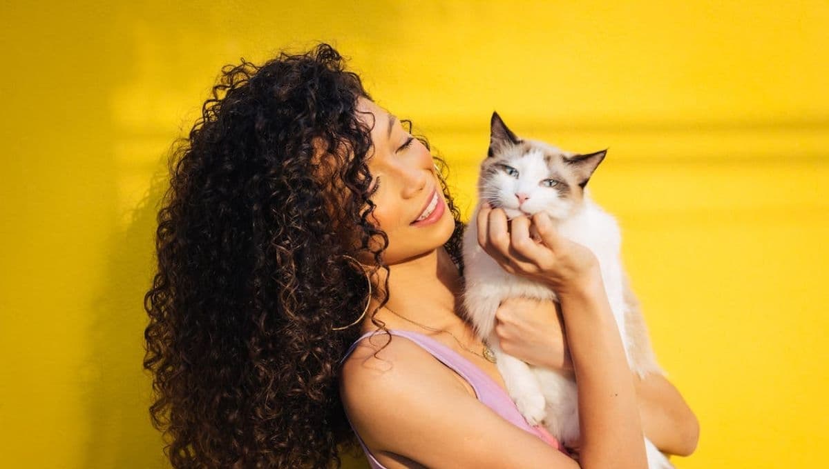 ¿Cómo saber si mi gato sabe que soy su dueño?