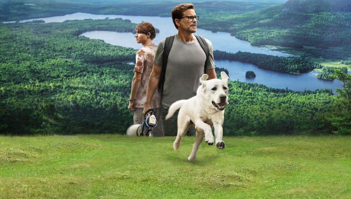 ¿Qué películas de perros hay en Netflix? 3 buenas opciones para llorar