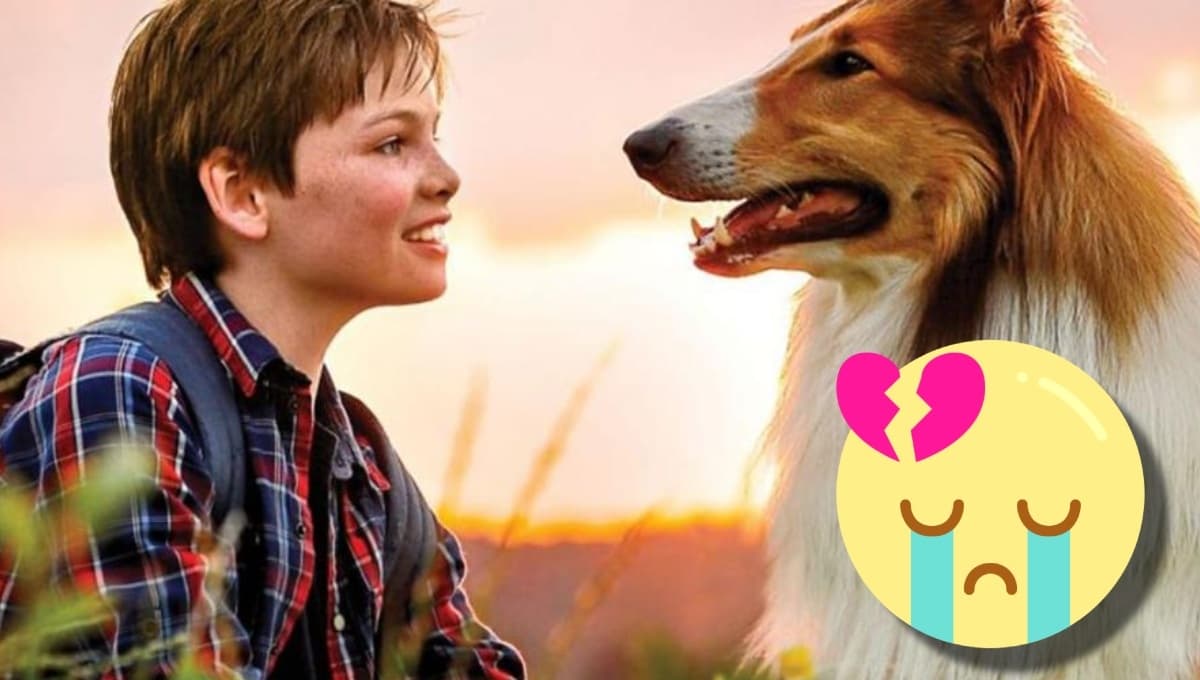 3 películas de perros en Netflix para llorar y abrazar a tu mascotita