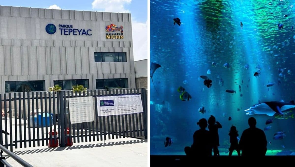 Acuario Parque Tepeyac: cuándo abre, horarios, y qué precio tendrá la entrada