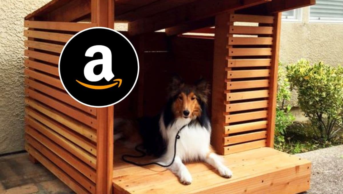 3 casitas para perro de oferta en Amazon: salen buenas y resistentes