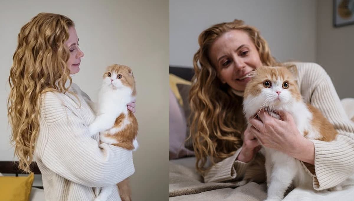 ¿Tu gato te ve como su madre? Estudio revela la respuesta
