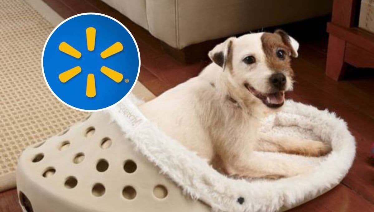 Walmart tiene 3 camitas para perro en oferta: te ahorras hasta 200 pesos