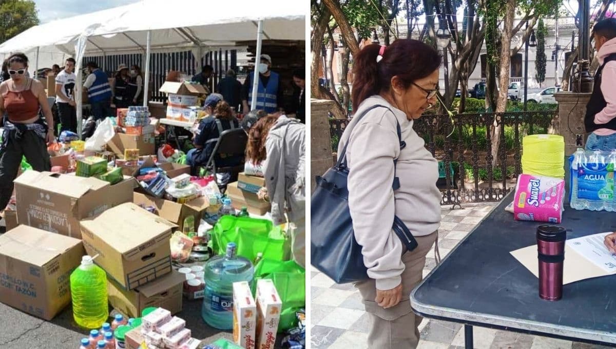 Centros de acopio para perritos y mascotas: ¿dónde donar ayuda a Acapulco y qué llevar?