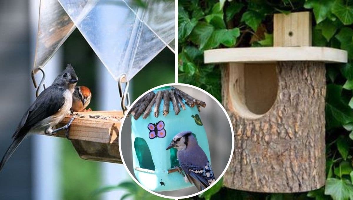 Cómo hacer una casa para pájaros con materiales reciclados fácil y bonita | Paso a paso