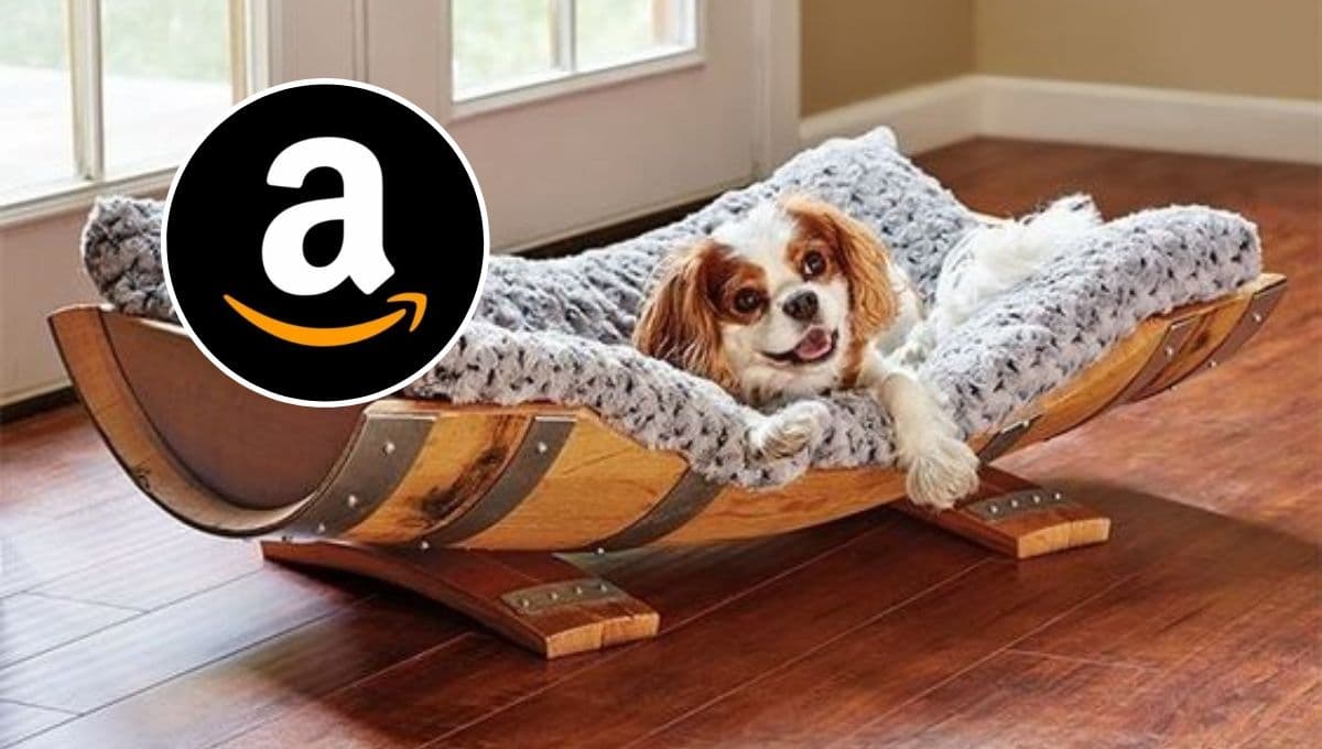 La cama para perro con forro acolchado: perfecta para los fríos y con descuento en Amazon