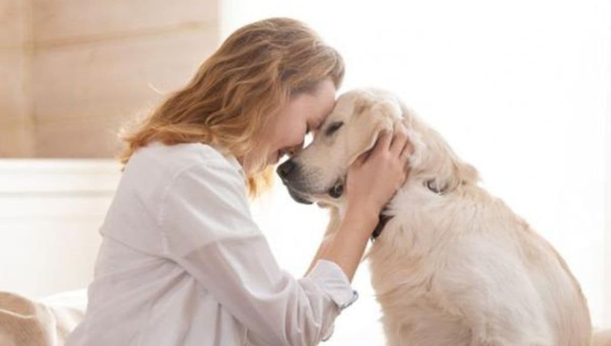 ¿Cómo saber si le caes bien a tu perro?