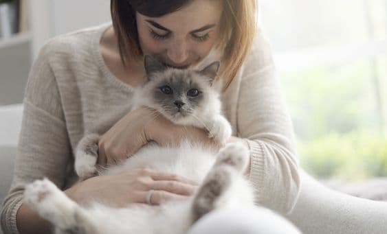 Test para saber si tu gato es tu alma gemela y el destino los juntó
