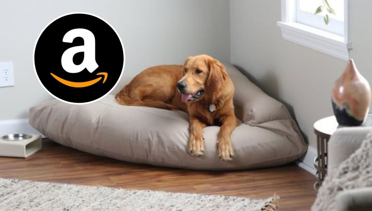 La camita para perro que necesita tu mascota para los fríos: sale buena y trae descuento en Amazon