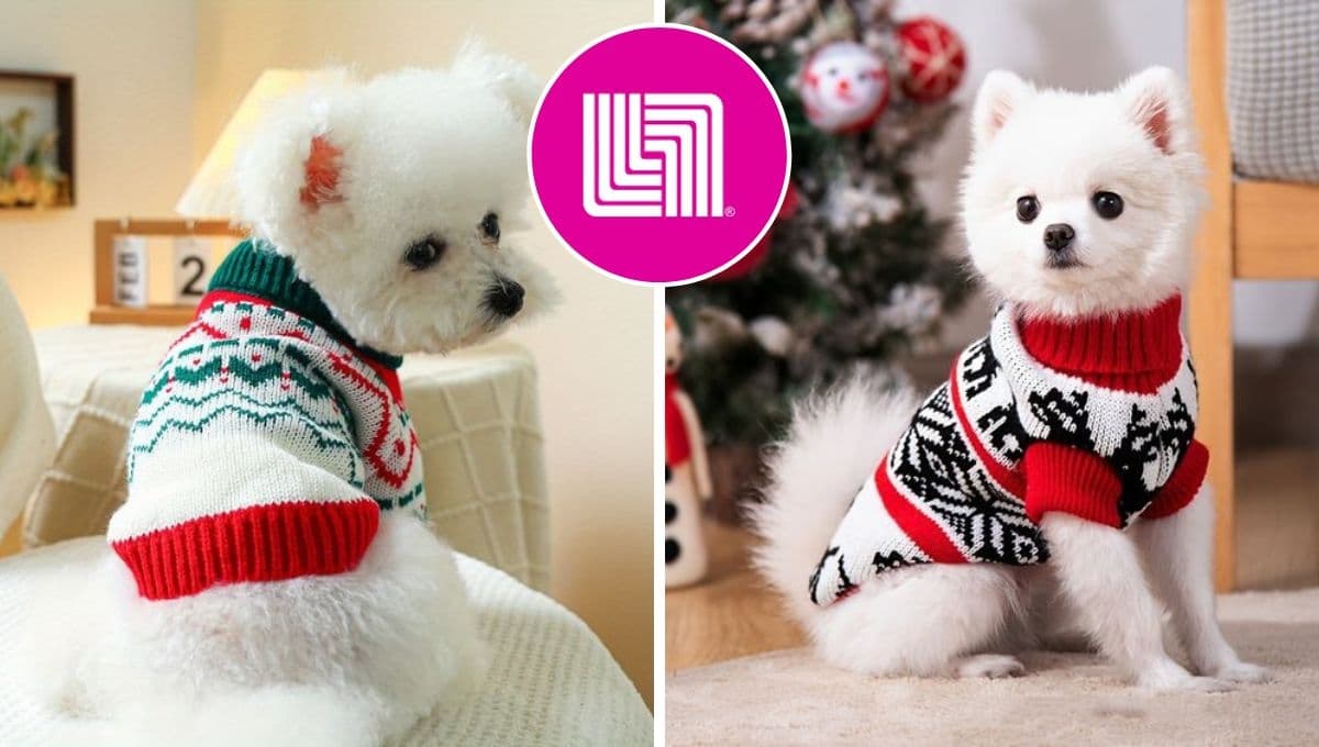 Liverpool adelanta la Navidad y pone 3 suéteres para perro Zoopet con descuento