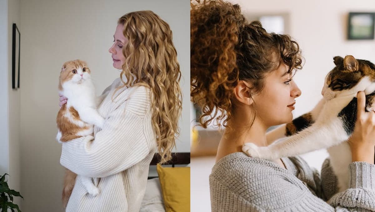 Los gatos saben quién es su dueño por estas dos poderosas razones