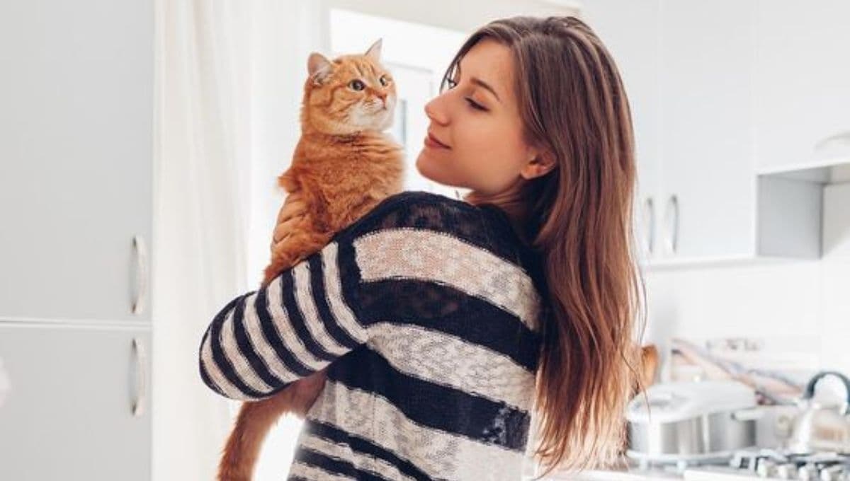 Test para saber si tienes un gato protector o un gato egoísta en casa
