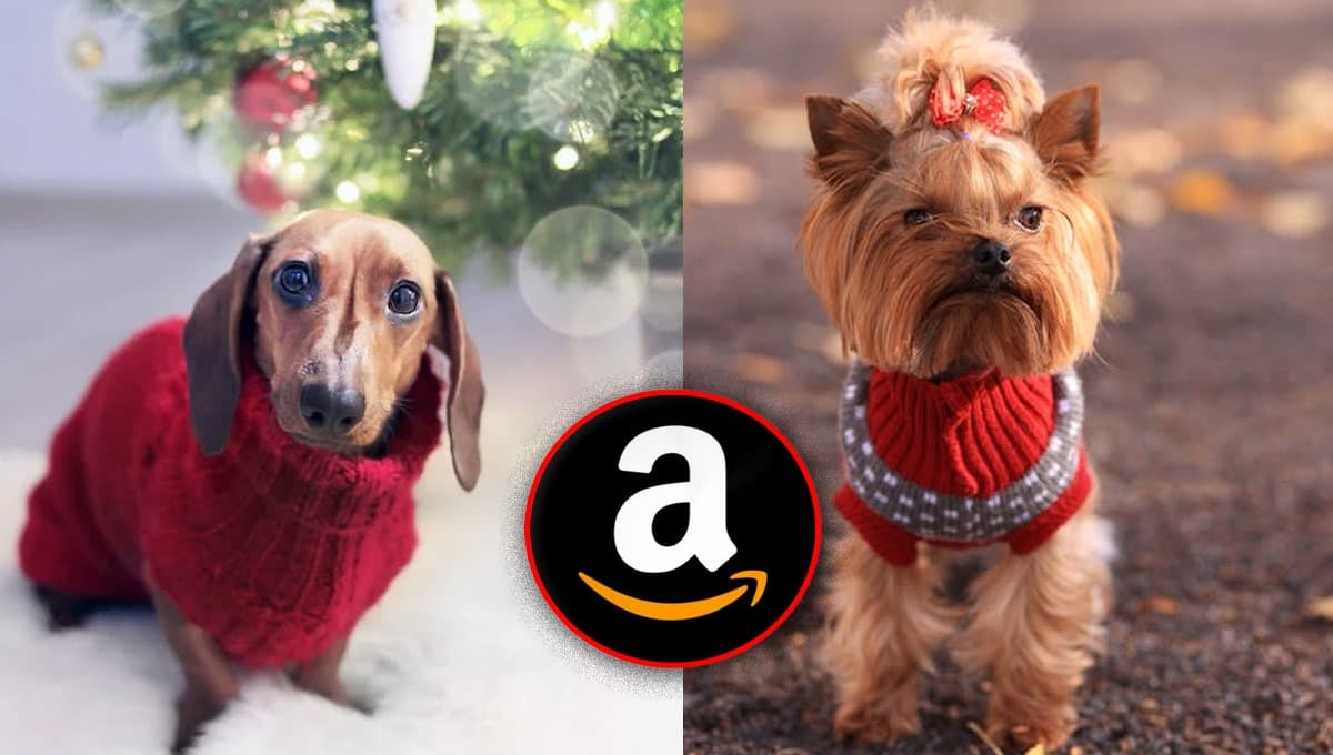 Amazon tiene el paquete de suéteres perfecto para tu perro en estos fríos de Navidad