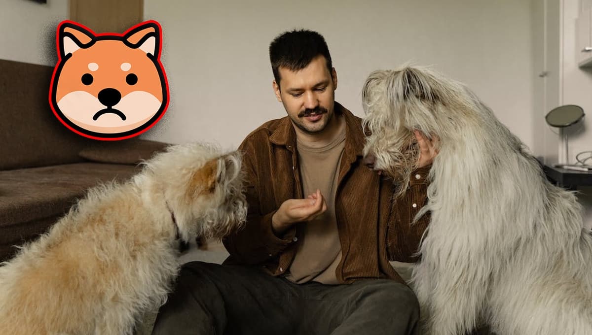 5 cosas que los perros odian de sus cuidadores, si las haces te van a rechazar