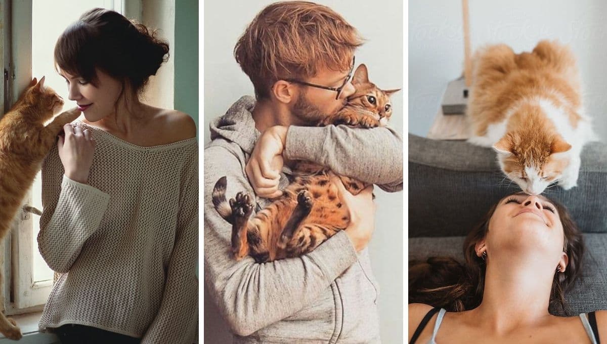 4 formas en las que tu gato te dice que te ama y podrían pasar desapercibidas