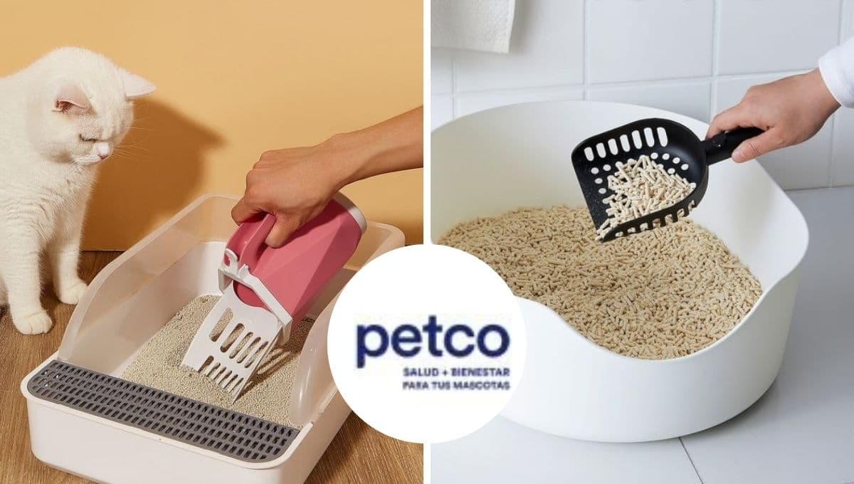 Petco pone en oferta 3 arenas para gato: salen buenas y hay de varios precios