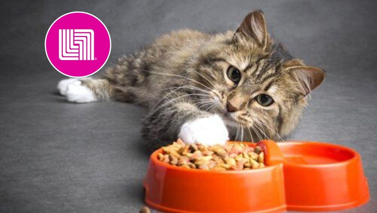 Este alimentador para mascotas smart es súper práctico y tiene casi 2000 pesos de descuento en Liverpool