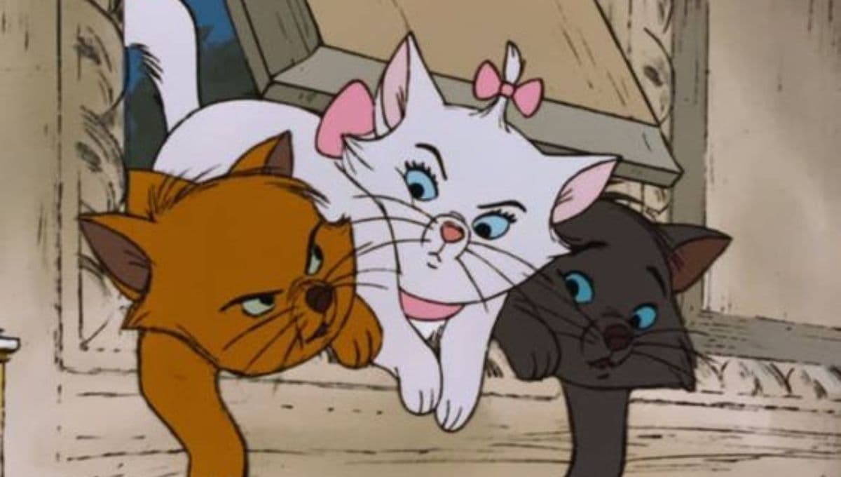Test de personalidad para saber qué gatito de Disney sería tu mejor amigo
