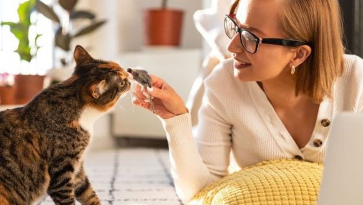 Test para saber si tu gato tiene apego emocional