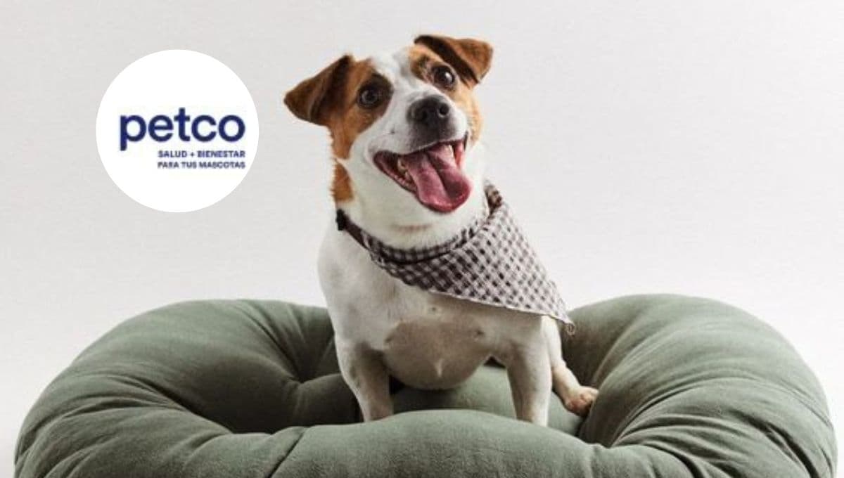 Estas 3 camitas para perro en Petco son súper cómodas, bonitas y traen descuento