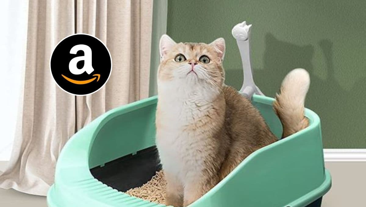 Amazon pone en oferta uno de los areneros para gato más fáciles de limpiar
