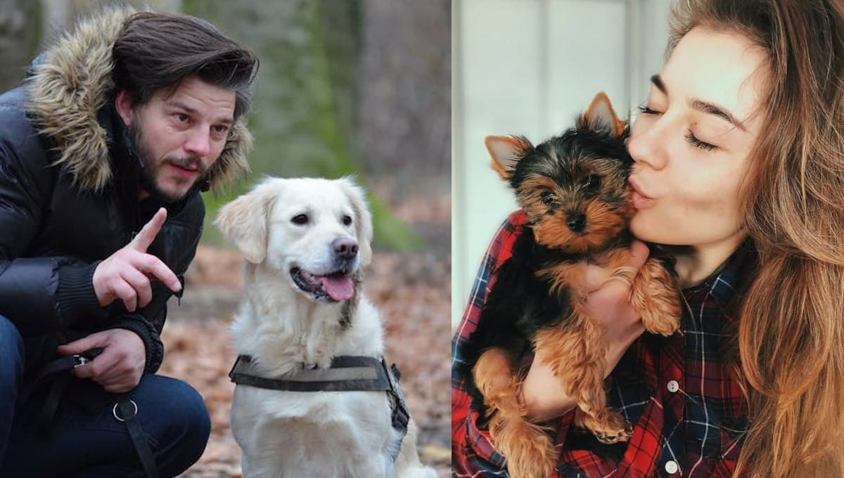 Los perros perciben la maldad y la ciencia lo demuestra